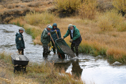 Martis Creek - Trout need this size gravel in order to spawn below Martis Dam. Photo: Russ Rosewood