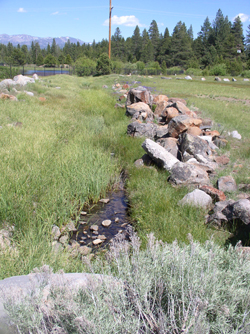Truckee Wetlands - A poorly installed culvert is eroding the wetland. Photo: Denny Dickinson