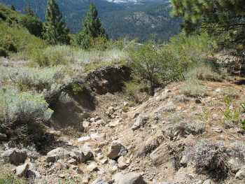 This gully, formed by erosion from a road just uphill, will be repaired in 2013.  Photo: Integrated Environmental Restoration Services 