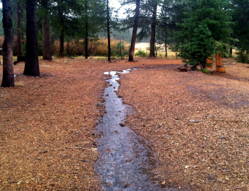 Image: A small rivulet forms on a Tahoe Donner property after a rain event. Without measures to capture and convey runoff from local properties, sediment can have a significant, negative impact on our creeks and streams. Photo: Kathy Whitlow.