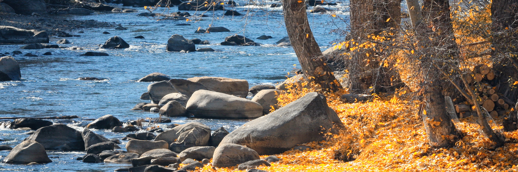Truckee River with bright orange autumn leaves