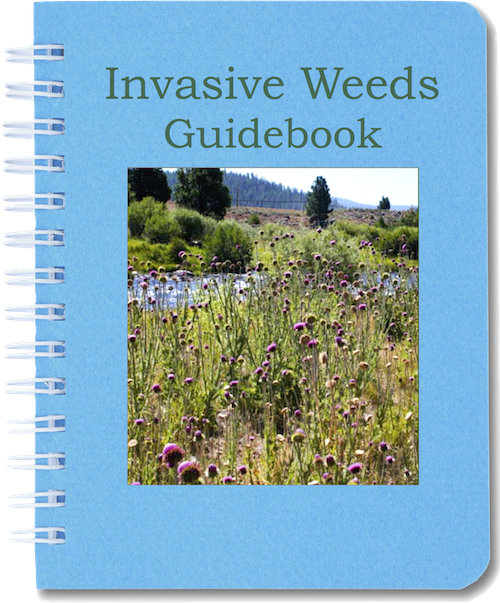 Invasive Weeds Guidebook