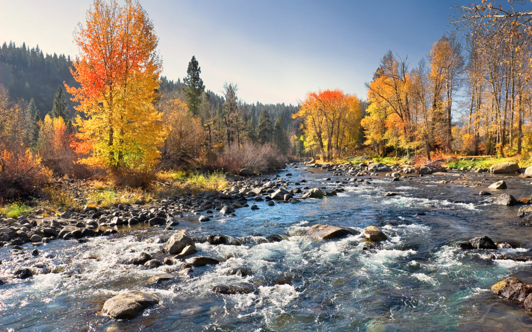 RFPs/RFBs: We work for the watershed. It’s our nature.