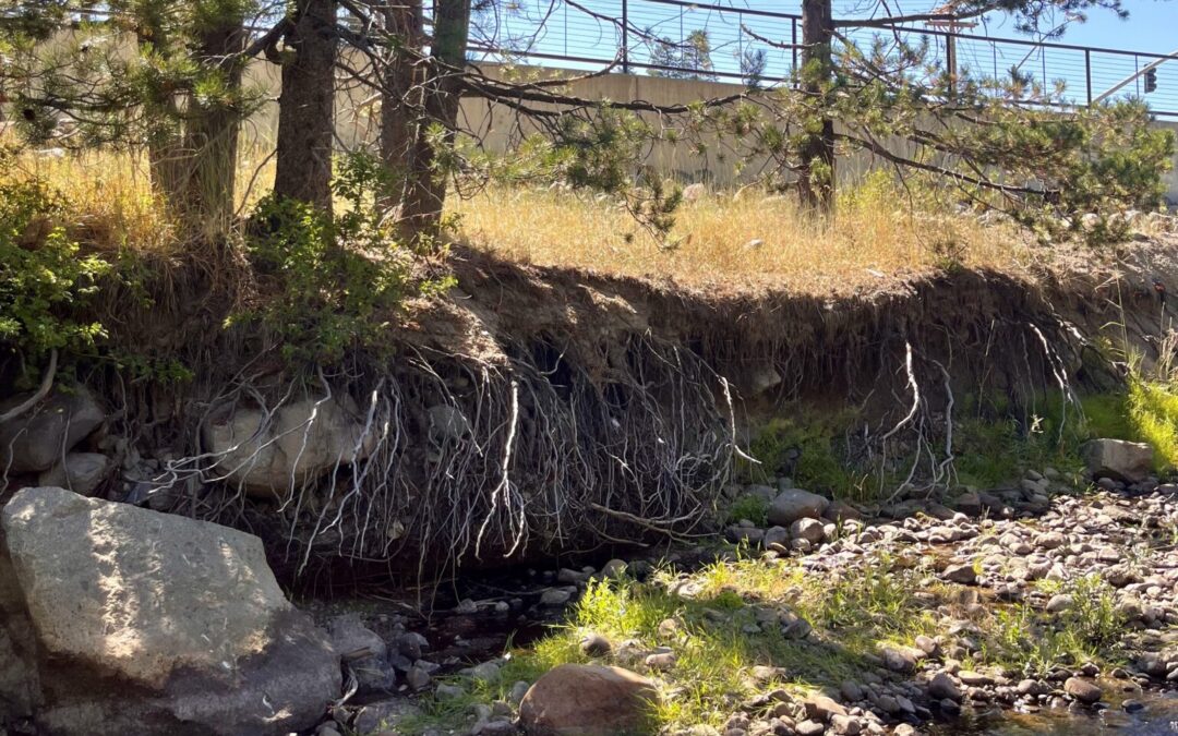 TRWC in the News: Truckee River Watershed Council begins restoring stretches of Donner Creek impacted since the 1800s